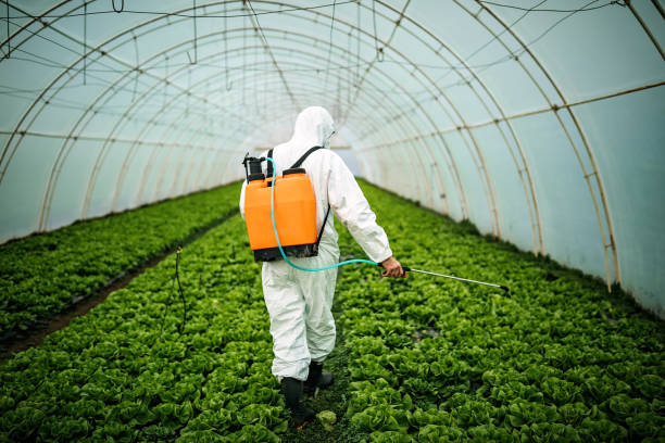 Best Affordable Pest Control Services  in Canastota, NY