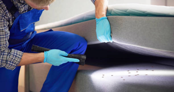 Best Pest Prevention Services  in Canastota, NY