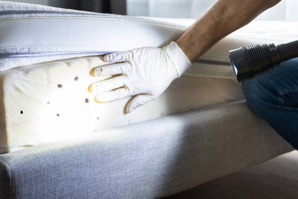Best Pest Inspection Near Me  in Canastota, NY