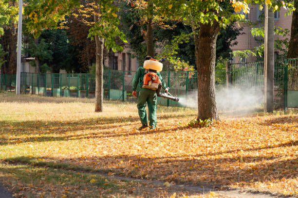 Best Rat Extermination Near Me  in Canastota, NY