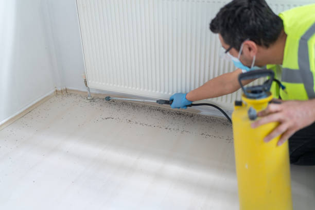 Reliable Canastota, NY Pest Control Solutions